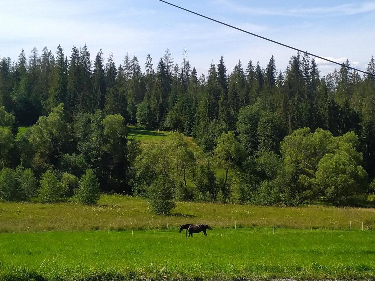 Domek U Mrugaly Poronin Exterior photo